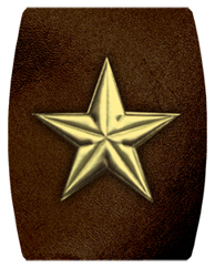 DAREC 430 GD BR Star Gold Brown